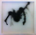 F. Schgor, Il ragno, cera, 25x25 cm-2
